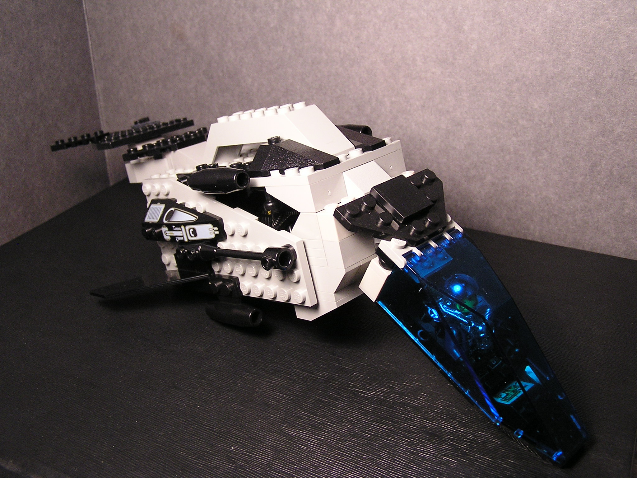ga32_dolphin_002.jpg
