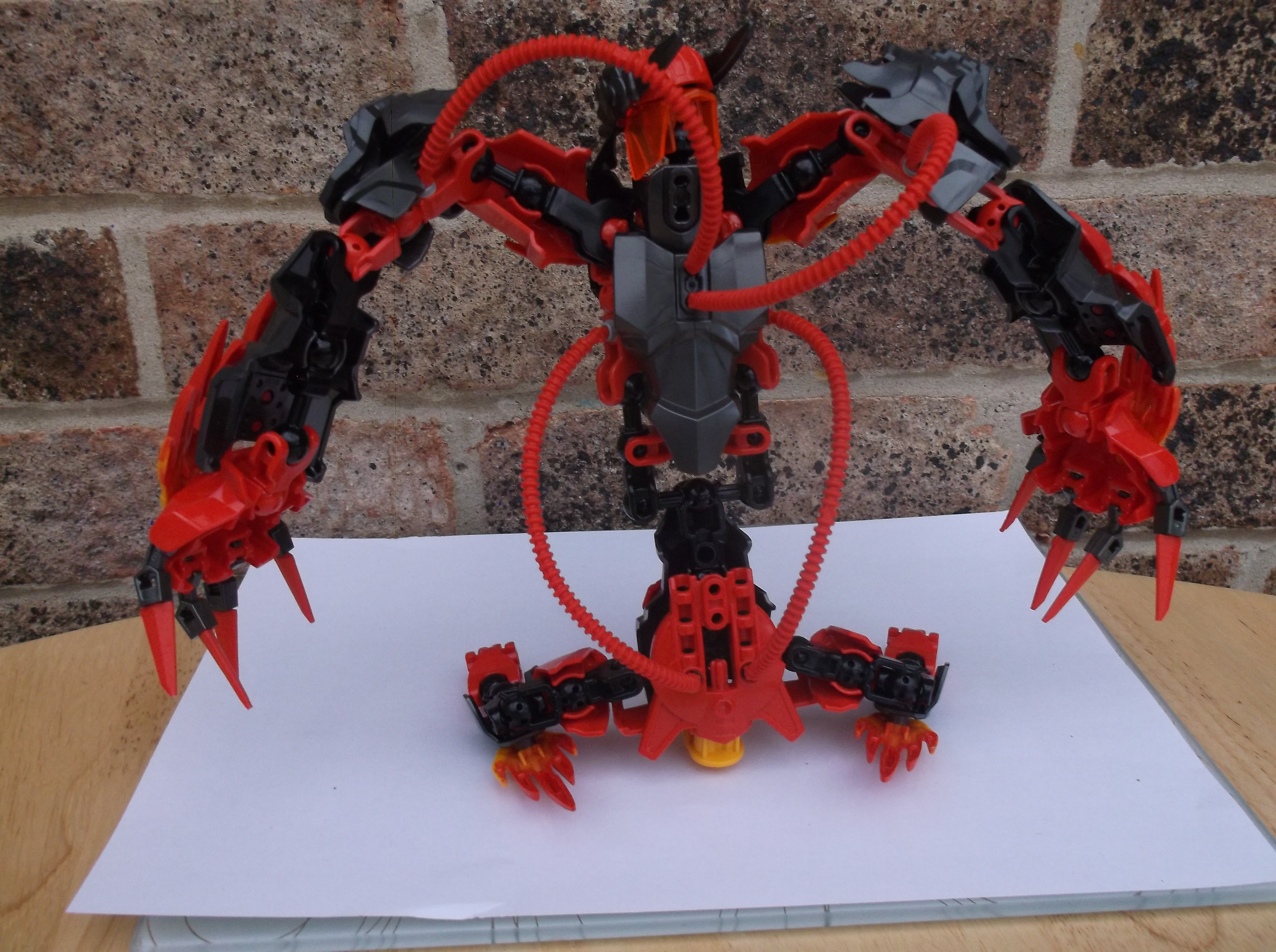 dscf0529.jpg