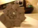 dsc02582.jpg