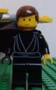lego_sig_fig1.jpg