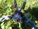100_2342.jpg