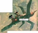 mib_starship_inflight.jpg
