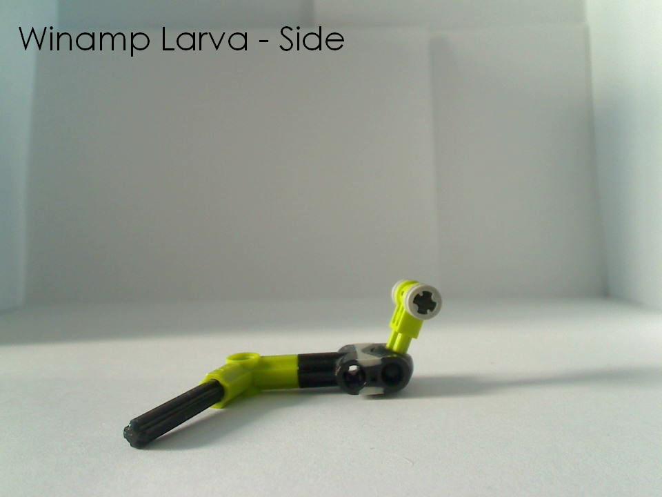 29_winamp_larva_side.jpg