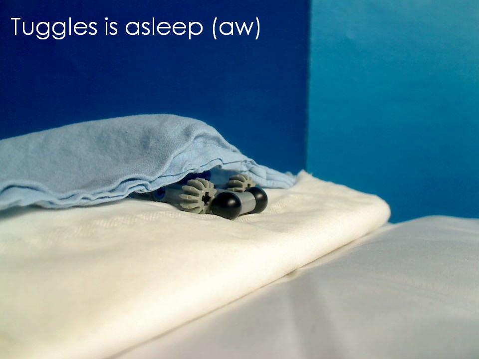 64_tuggles_asleep.jpg