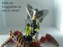 47_queenamp_larva_hug.jpg
