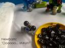 61_newborn_camera.jpg
