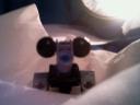 newborntuggle002.jpg
