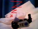 newborntuggle006_new.jpg