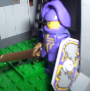 castledanjuguard.jpg