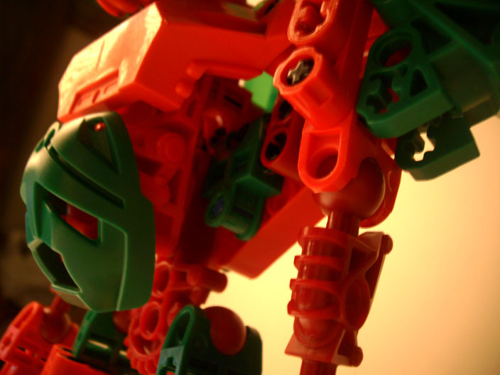 torso.jpg