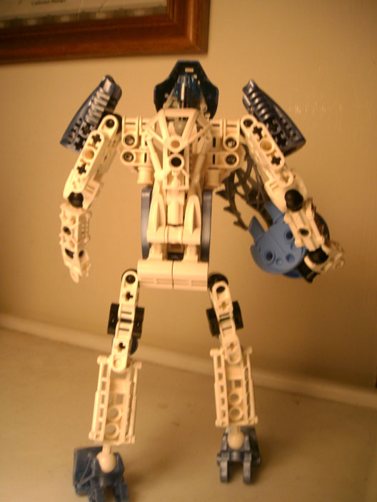 back.jpg