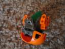 pumpkin06.jpg