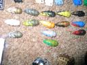 BigCollection