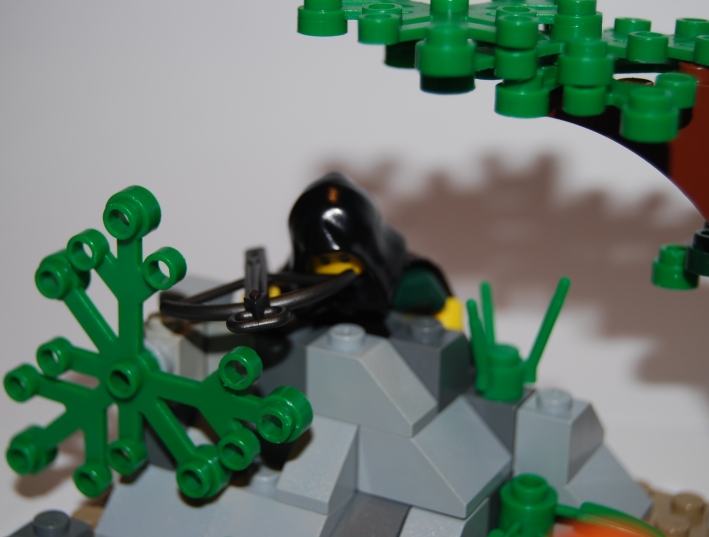 dsc_7110.jpg