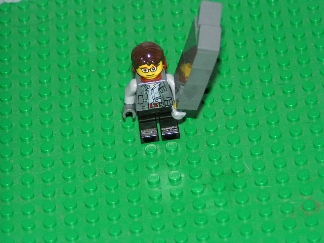 lego_pics_009.jpg