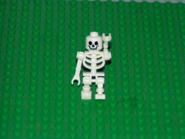 lego_pics_016.jpg