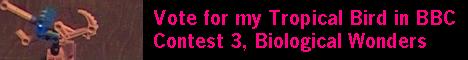 tropicalbirdbanner.jpg