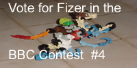 vote-for-fizer.jpg