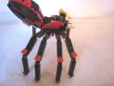 spider_2.jpg