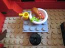 croc_house04.jpg