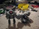 both.jpg