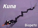 kuna.gif