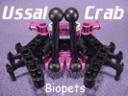 ussal-crab.gif