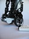 sw_segway_26.jpg