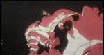 avatar1.bmp