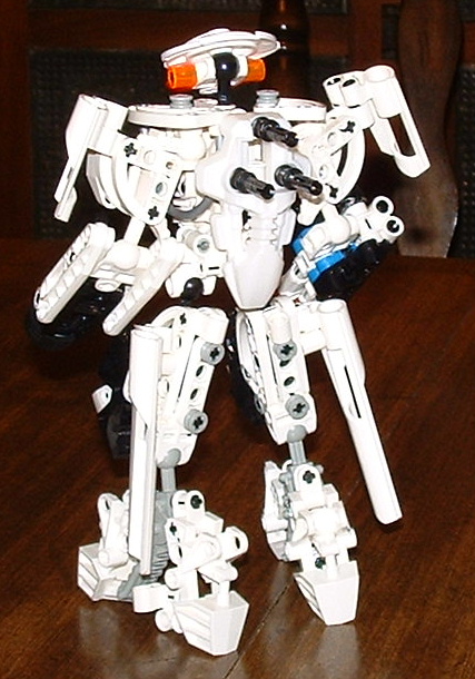 heavyflea_back.jpg