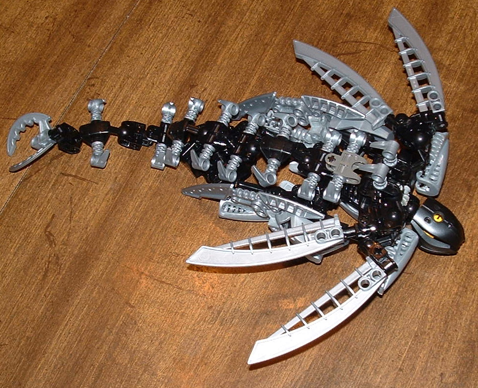 magnusdragon.jpg