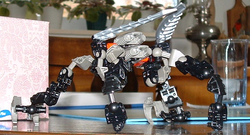 parasitex_back.jpg