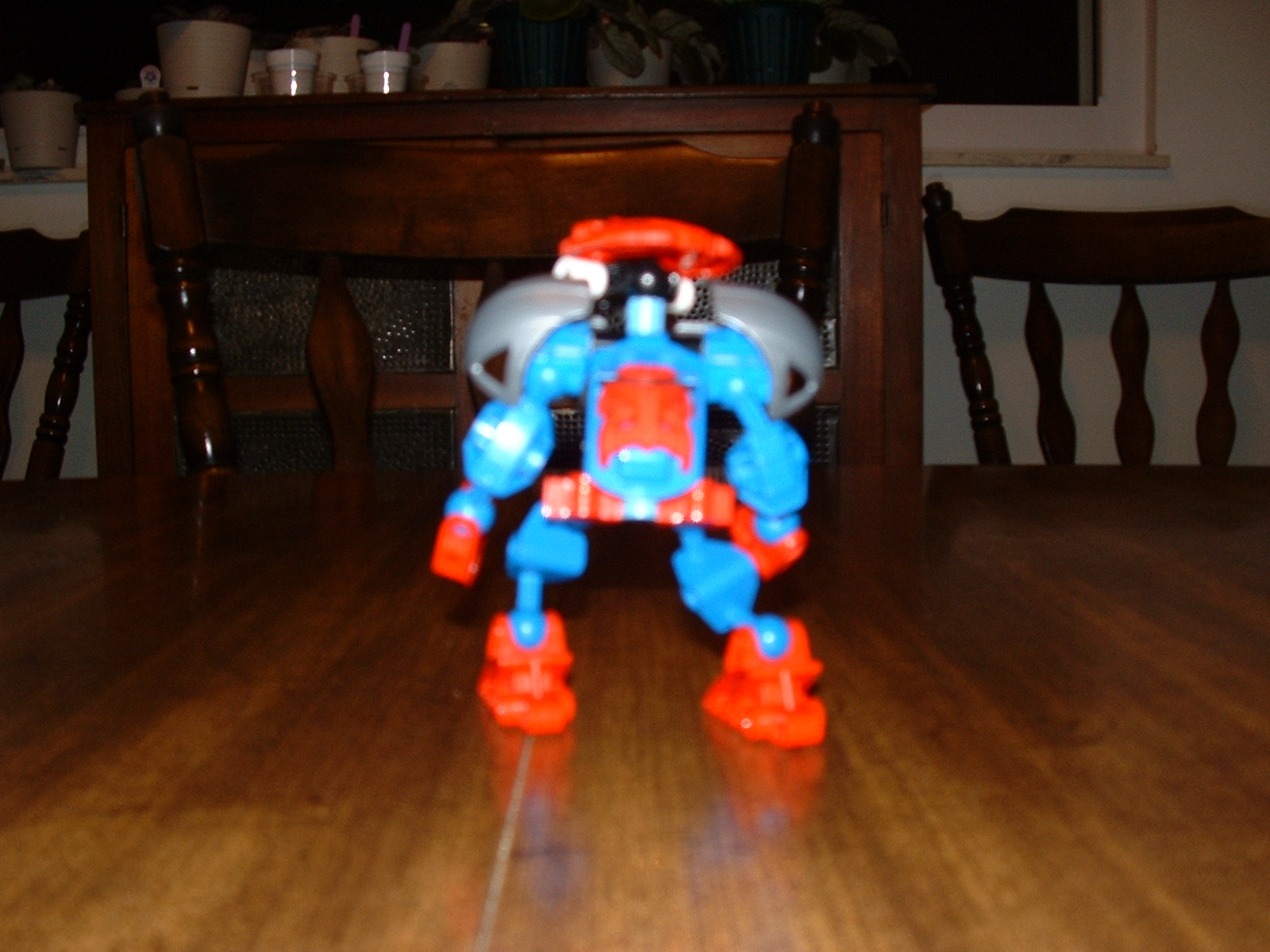 2003_0706_spiderback.jpg