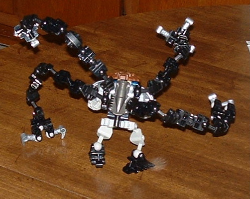 octavius_back.jpg