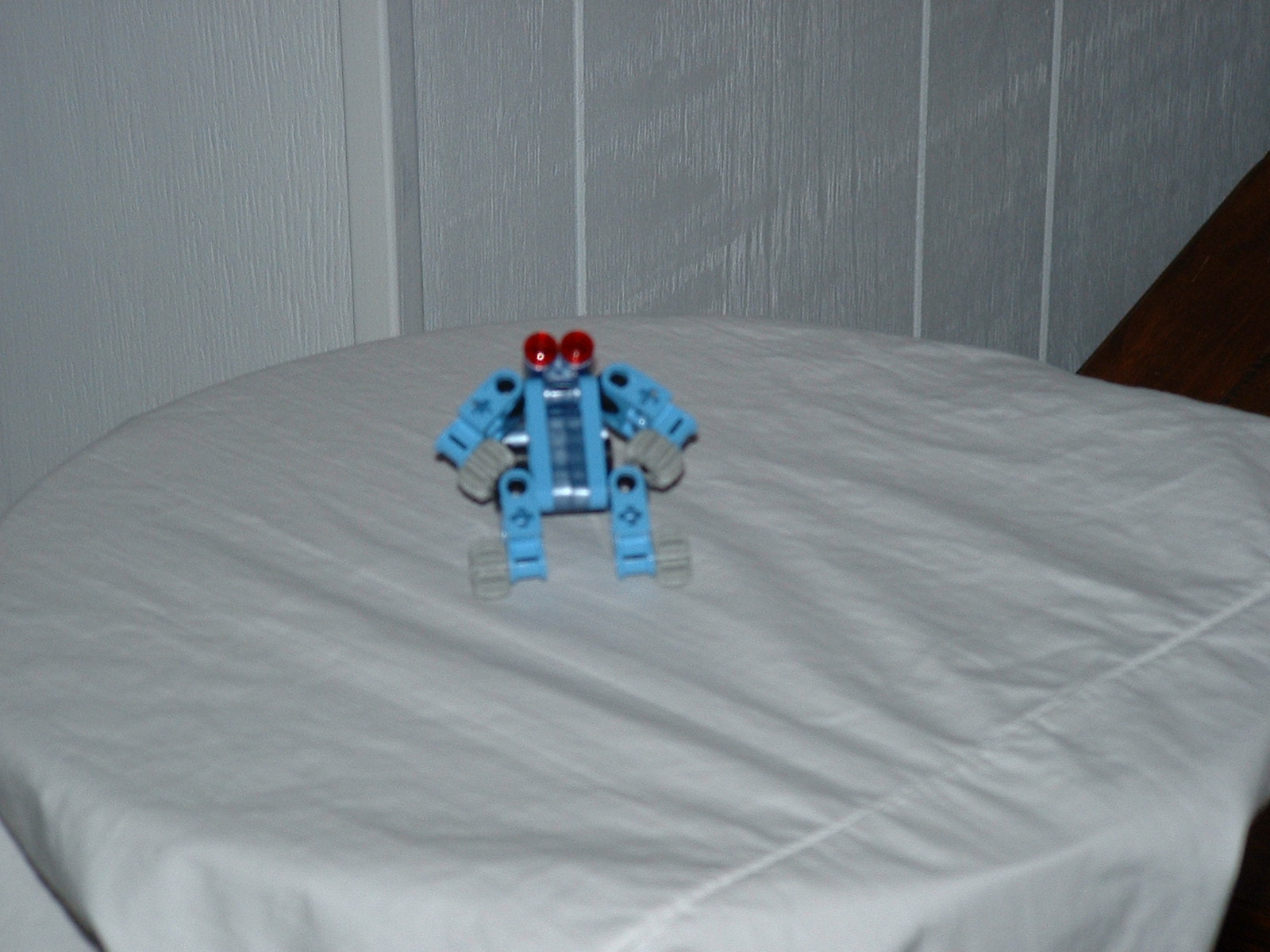 2003_1005_blueredeye.jpg