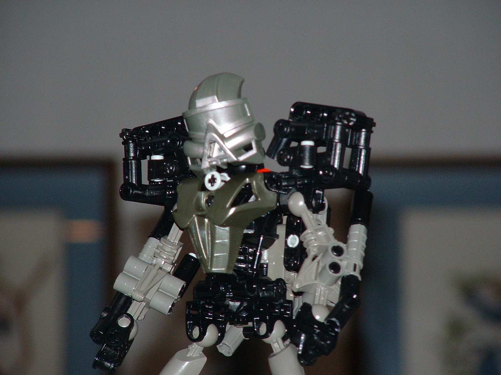 2003_0919_closeup.jpg