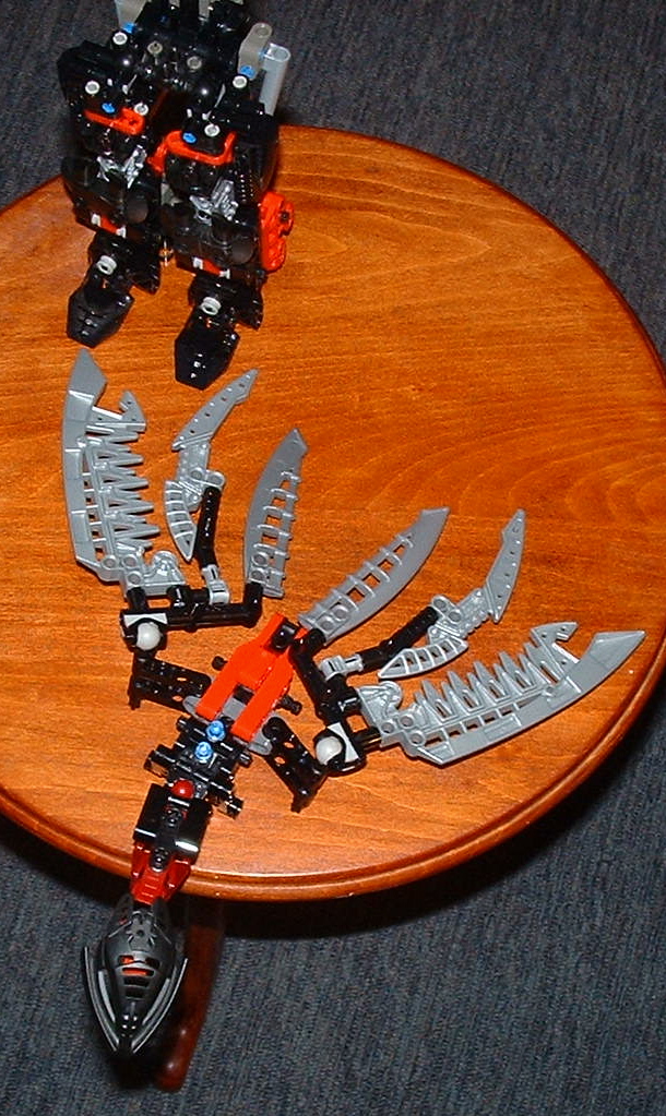 transform_04.jpg