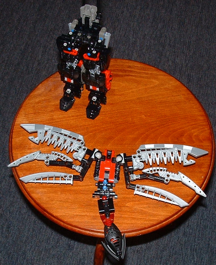 transform_05.jpg