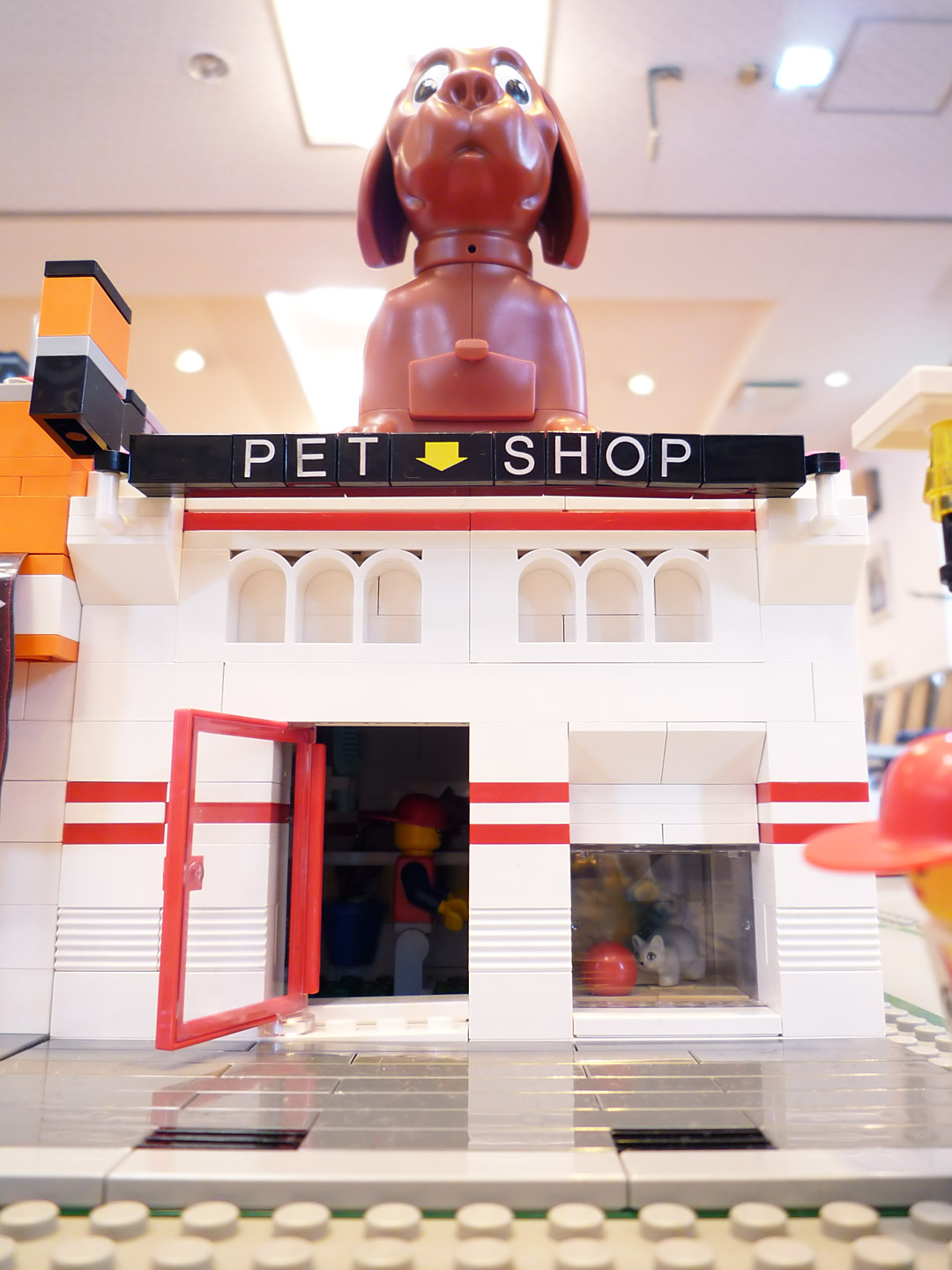 akiba_pet-shop_edge_02.jpg