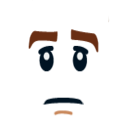 face13.png