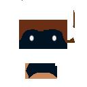 face13.png