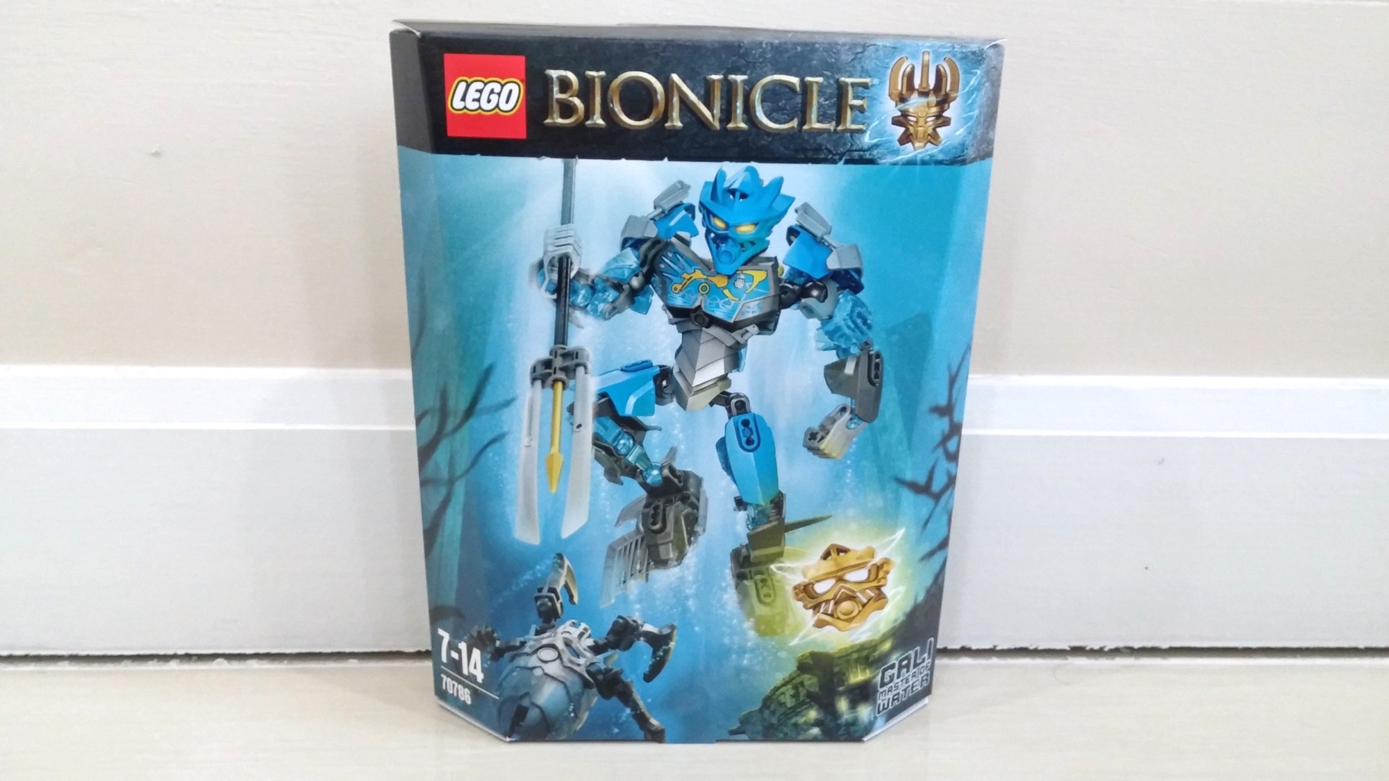 70786_01.jpg