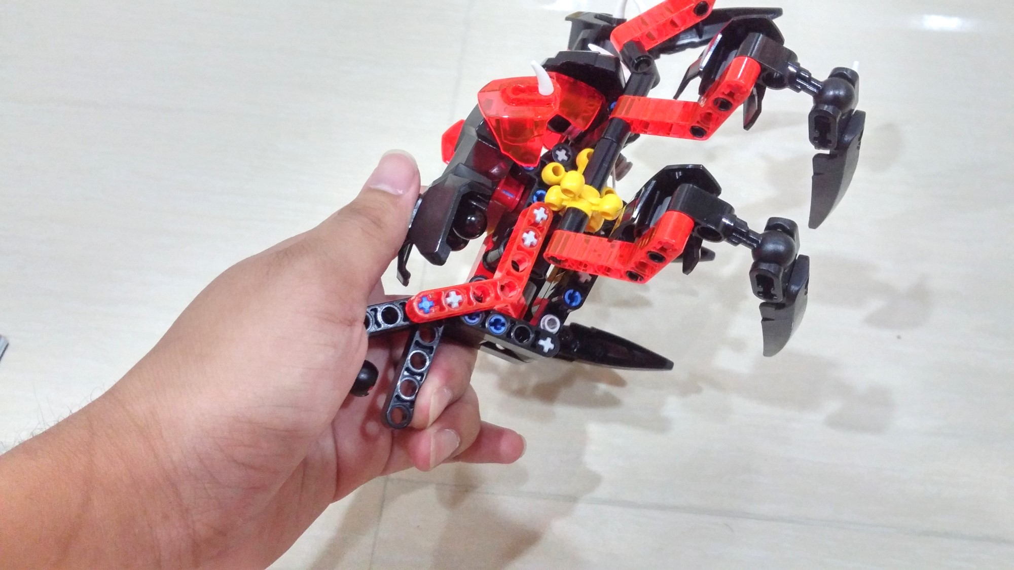 70790_10.jpg