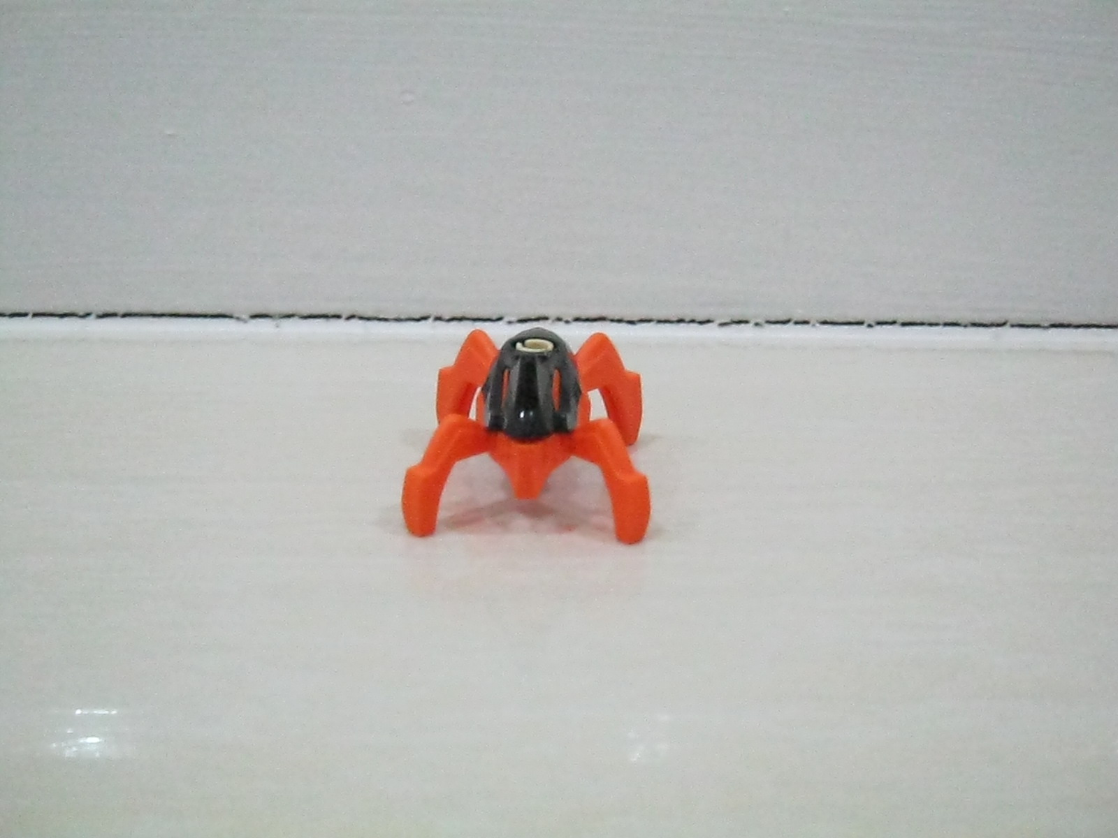 44019_06.jpg