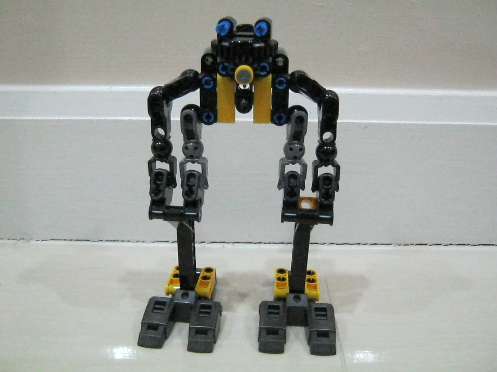 44022_10.jpg