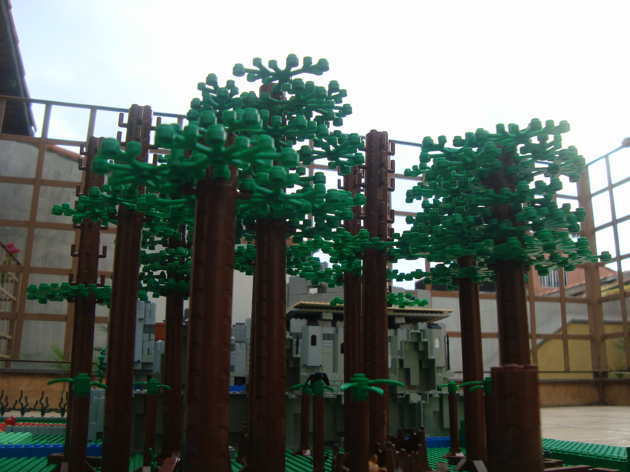 dsc09907.jpg