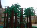 dsc09907.jpg