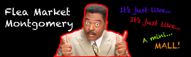 sammy_copy.jpg