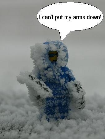 snowfig.jpg
