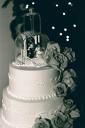 cake_topper_bw2.jpg